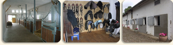 Der Stall